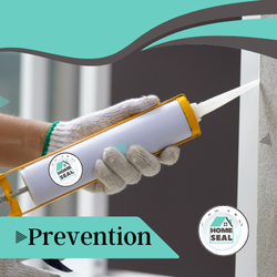 Bat Infestation Removal in Flagler & Volusia County, Florida Bat Infestation Removal in Flagler & Volusia County, Florida