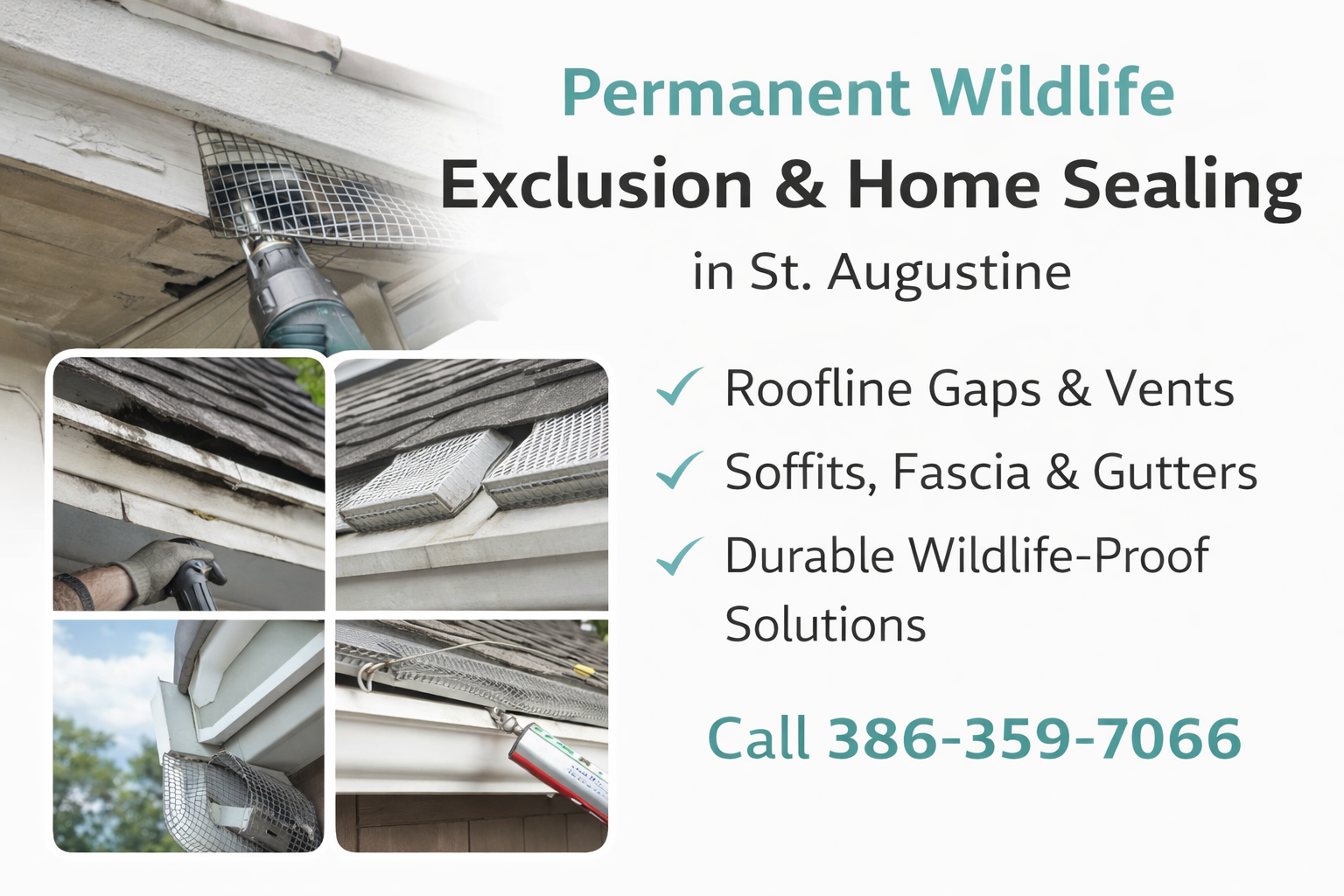 St. Augustine Wildlife Removal and Home Sealing Soultions