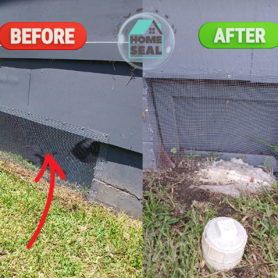 Home Seal Animal Control Foundation Solutions