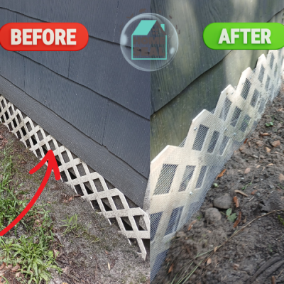 Home Seal Foundation Animal Rodent Control