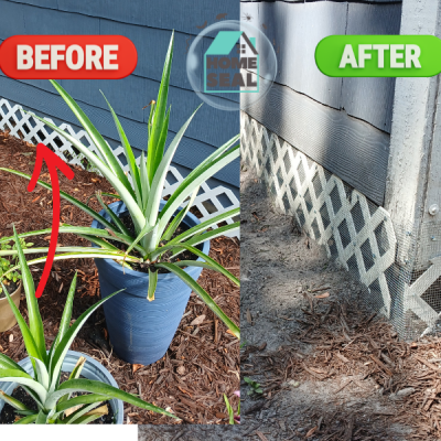 Home Seal Foundation Rodent Control 2