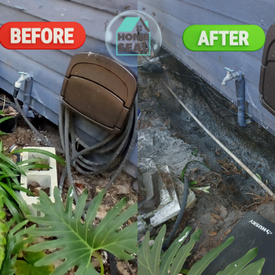 Home Seal Rodent Control